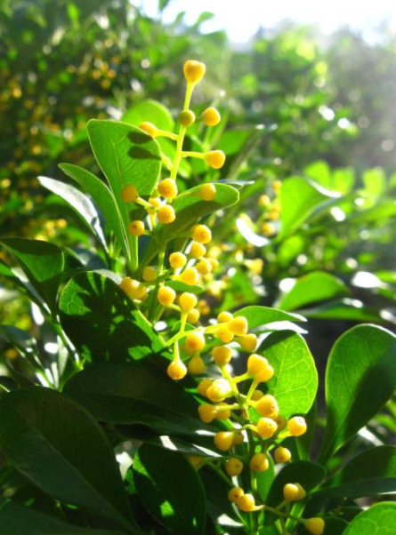 耐酸磚，盲道磚，陶瓷透水磚源頭生產(chǎn)廠家到底適不適合參加展會